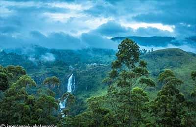 Wilpattu