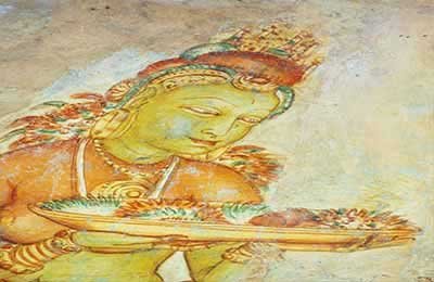 Wilpattu