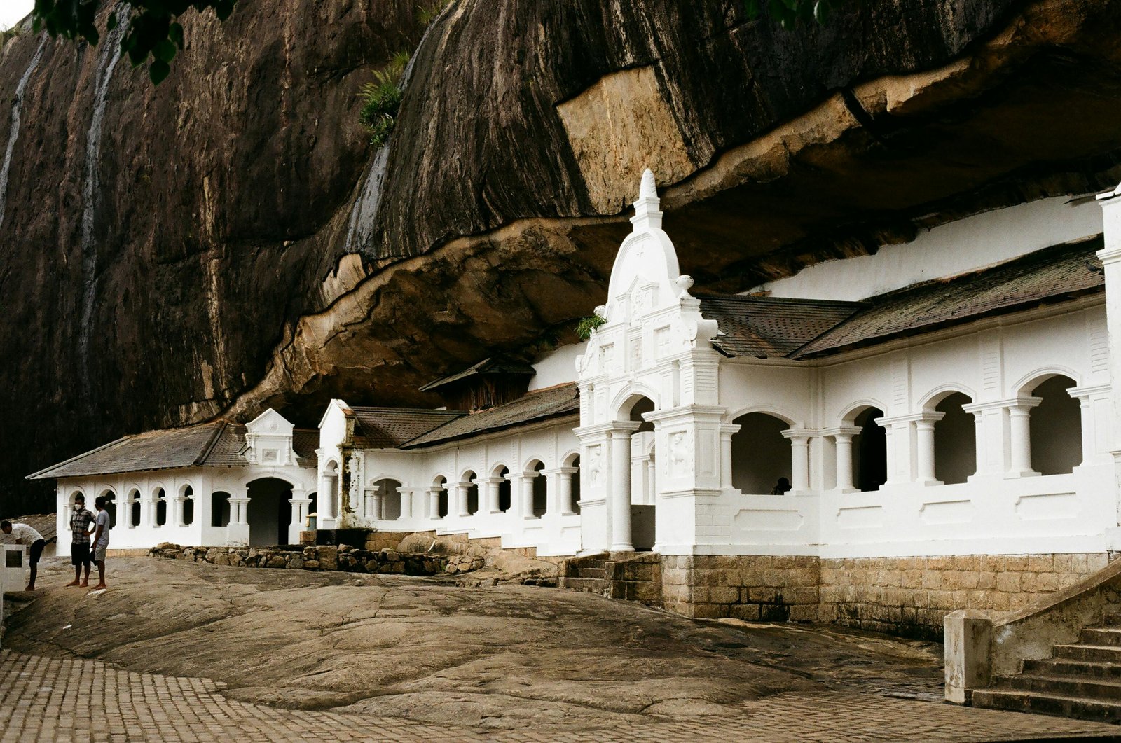 Wilpattu