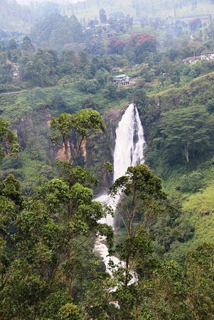 Wilpattu