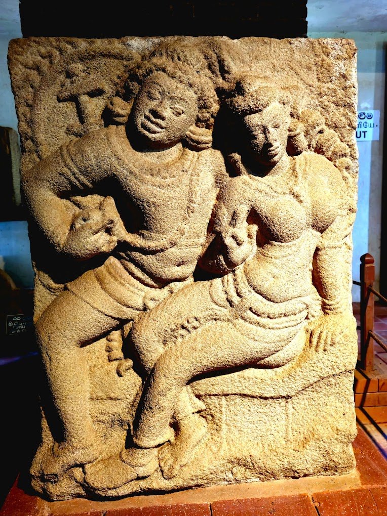 Wilpattu